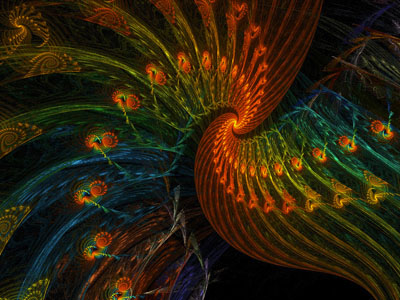 scarletmacaw fractal