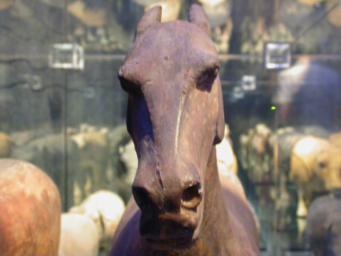 horse head